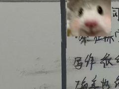 -JT PREP国际学科课程·IB·AP·Alevel(陆家嘴校区)