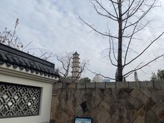 -江心屿景区