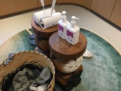 -飞行喵MR PILOT|猫舍·猫咖(静安大融城店)