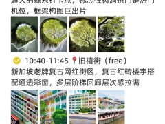 -圣淘沙天际线斜坡滑车