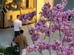 -深圳湾万象城(南山店)