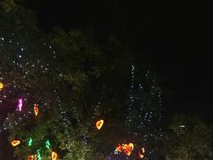 -秋水广场音乐喷泉