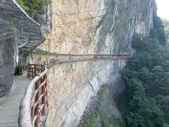 -鹿院坪生态旅游景区