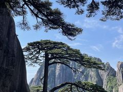 -黄山风景区