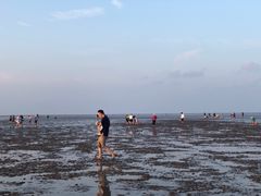 -南汇嘴观海公园