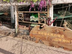-呀路古热带植物园