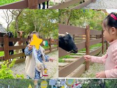 -广州锦绣香江度假别墅