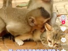-昆明动物园