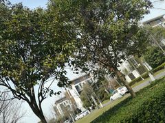 -水月周庄铂尔曼酒店-水月荟中餐厅