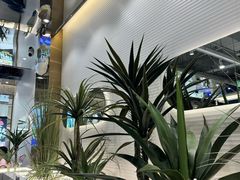 -兰湘子·湘菜小炒(崂山丽达店)