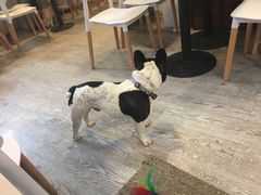 -小时光咖啡馆(北锣鼓巷店)