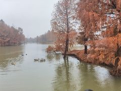 -宁波杭州湾国家湿地公园