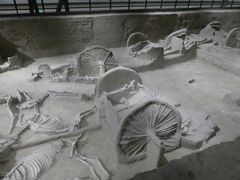 -洛阳周王城天子驾六博物馆