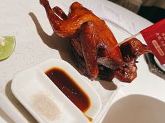 -侨美食家·41年地道粤菜(珠江新城店)