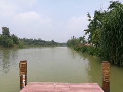 -白鹭湾湿地公园