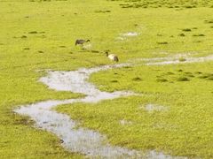 -黄河九曲第一湾