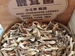 -赛汗塔拉风情园