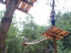 -梦幻奥陶纪景区