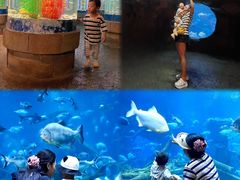 -郑州银基国际旅游度假区