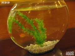 走廊装饰-苏州金鸡湖尼盛万丽酒店