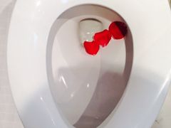 iphone_upload_pic-新纪元大酒店