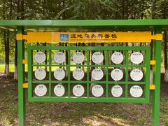-长广溪湿地公园