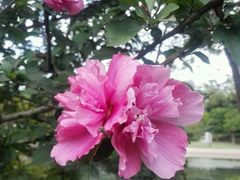 android_upload_pic-昆山城市公园