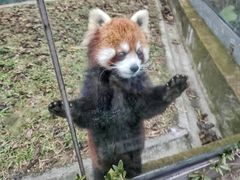 -东部华侨城