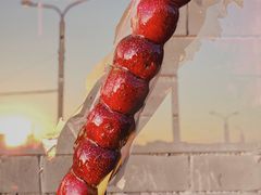 -和禄德冰糖葫芦