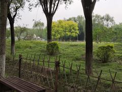 -东升八家郊野公园