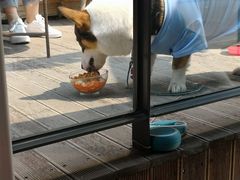 -the rug 飞毯 (朝阳公园店)