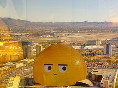 -拉斯维加斯永利酒店