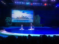 -华夏文旅海洋公园