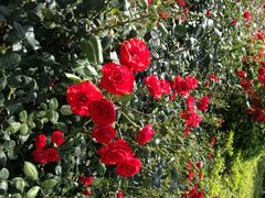 iphone_upload_pic-苏州河梦清园环保主题公园