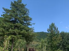 -翠矶山公园