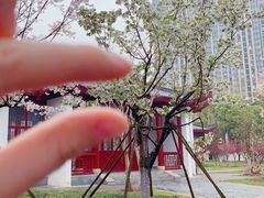 -堤角公园