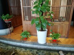 -寻钵记民菜馆·正宗常德钵子菜(滨湖路店)