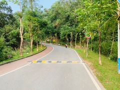-火炉山森林公园