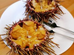 -海胆小馆(东北水饺·春柳店)