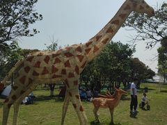 -长洲岛都市农业公园