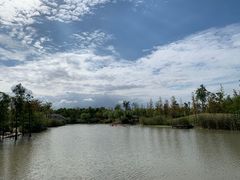 -上海长兴岛郊野公园