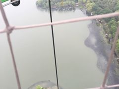 -金鸡湖桃花岛