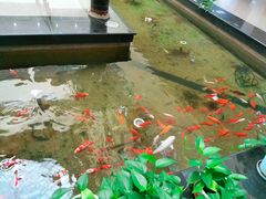-苏州工学院(东湖校区)