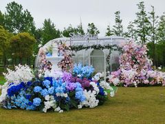 -春花秋色城市公园