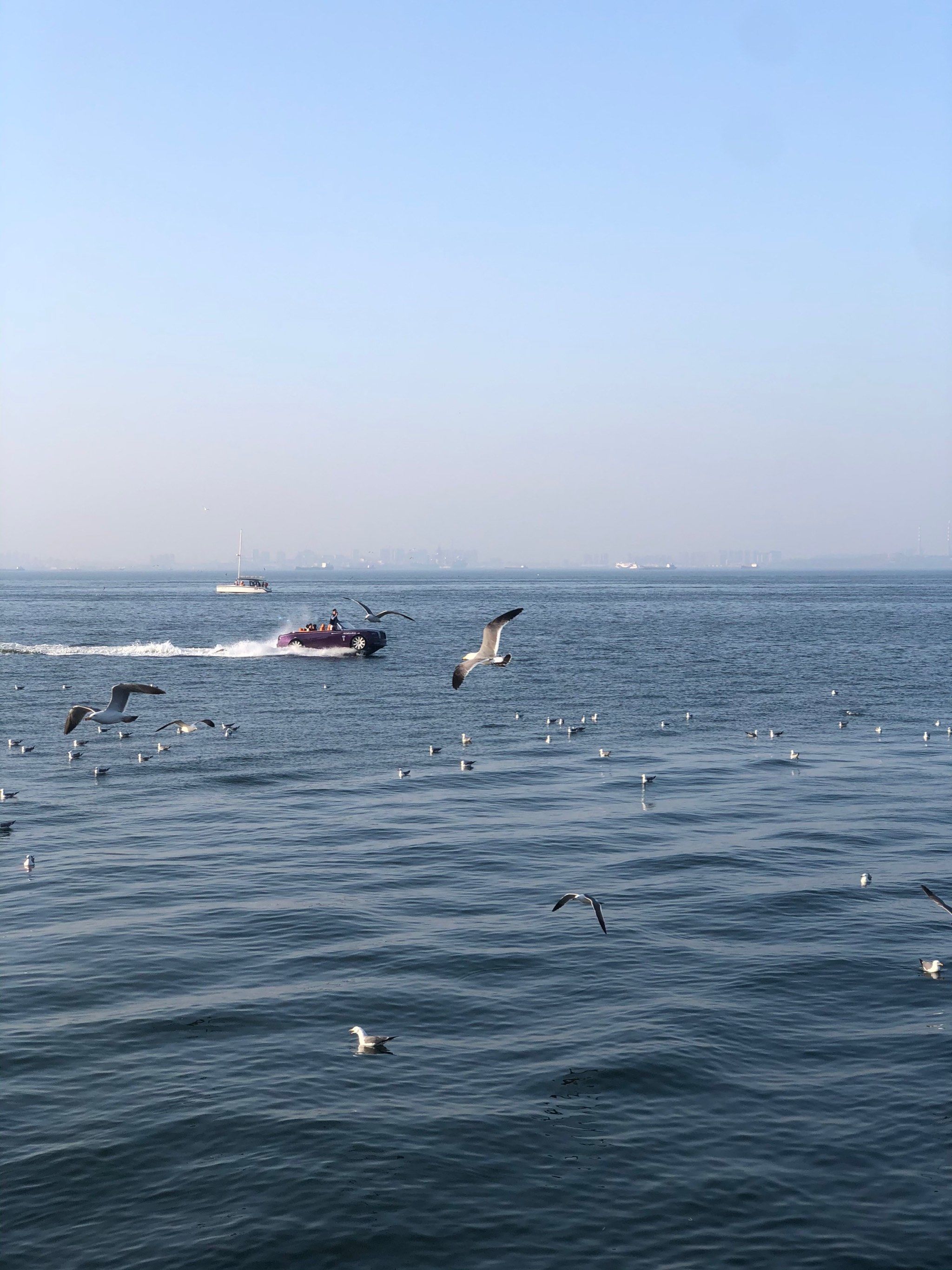 大连东港-看海的好地方