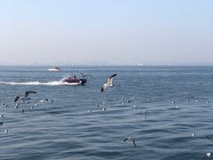 -大连海昌东方水城