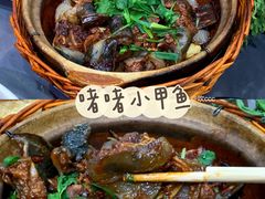 啫啫甲鱼煲-金龙·打边炉(武进路店)