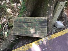 吊罗山国家森林公园-海南热带雨林国家公园吊罗山景区