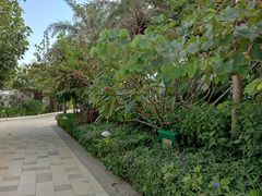 -檀悦都喜天丽度假酒店游泳池