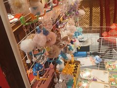 -鱼满舱·鲜活海鲜·正宗鲁菜